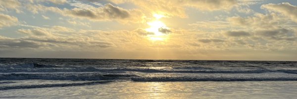 TSH1123 Profile Banner