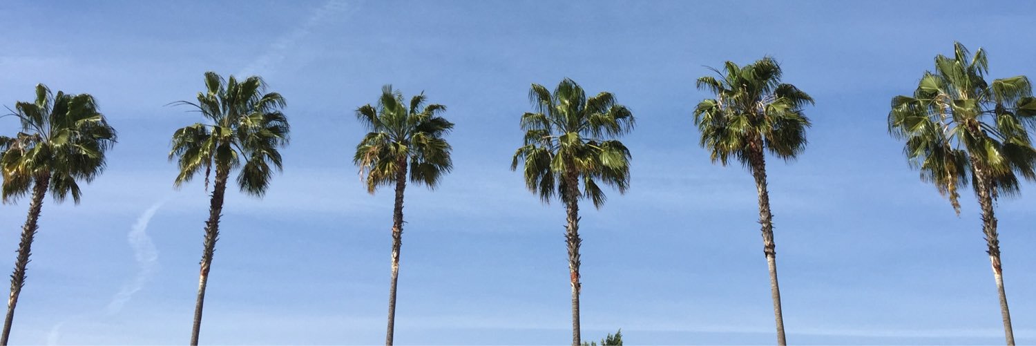 bowyetran's profile banner image