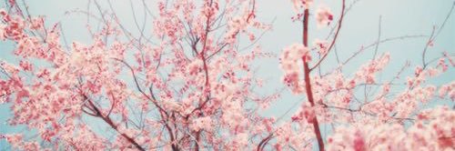mrs_jebu's profile banner image