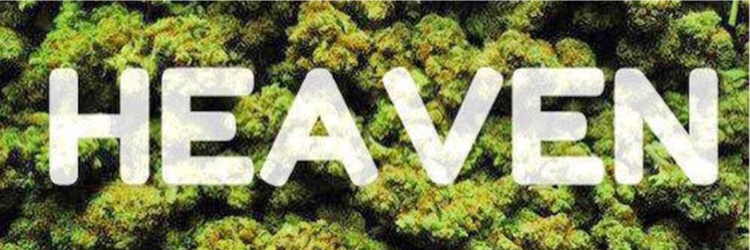 FranceHemp's profile banner image