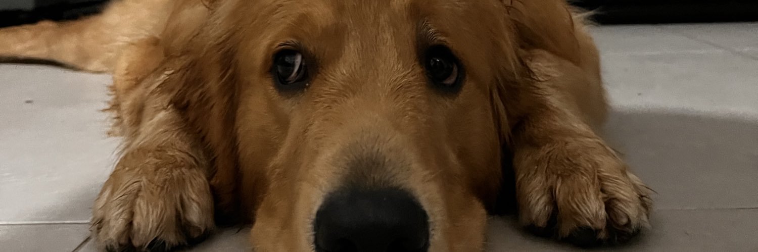 Kroox95's profile banner image