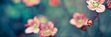 jordanashleigh's profile banner image