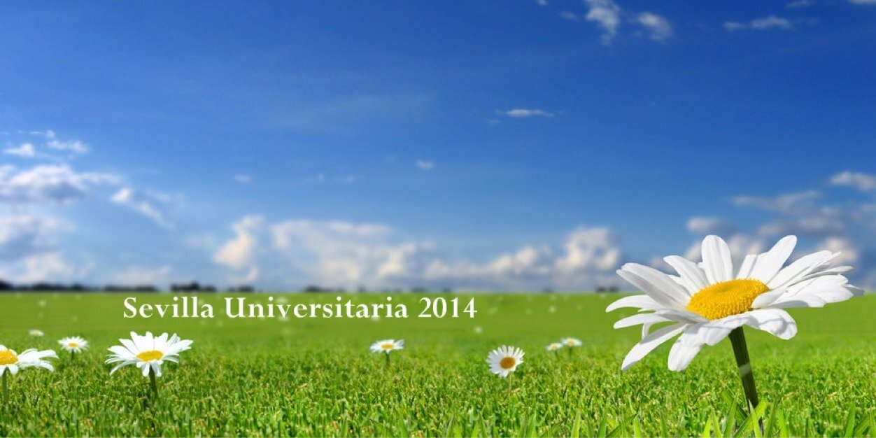 SEu2014's profile banner image