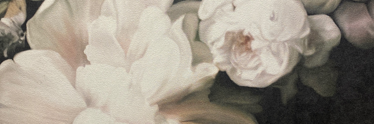 meadows_carole's profile banner image