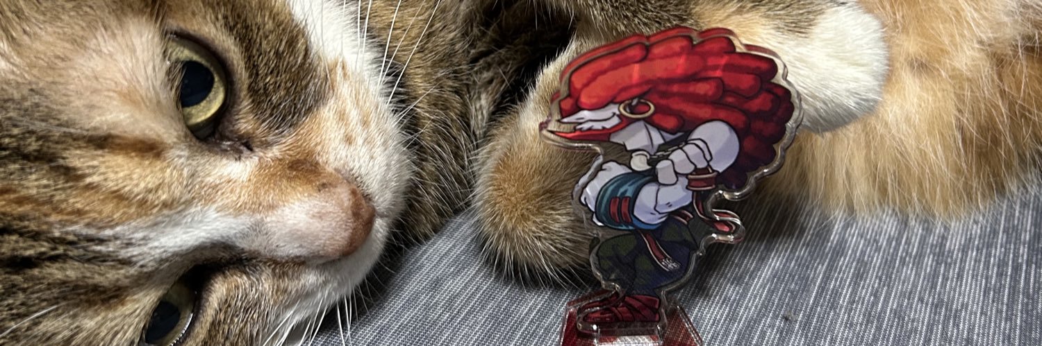 chiaki_squid's profile banner image