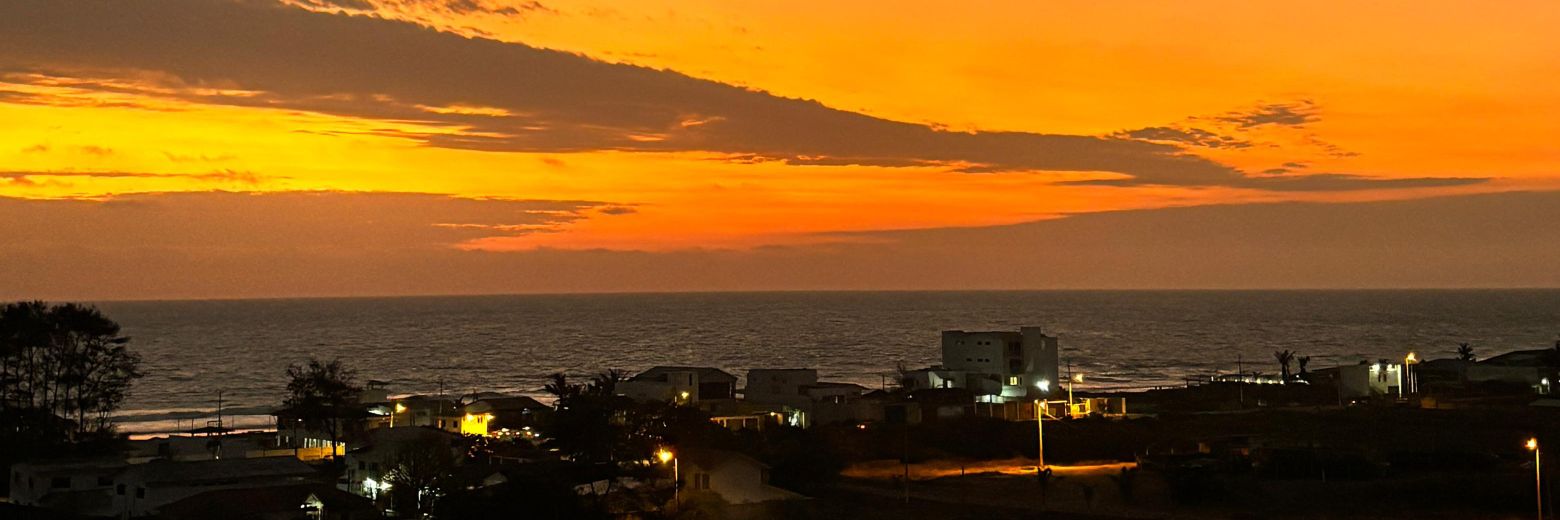 Guelvis Guerrero banner