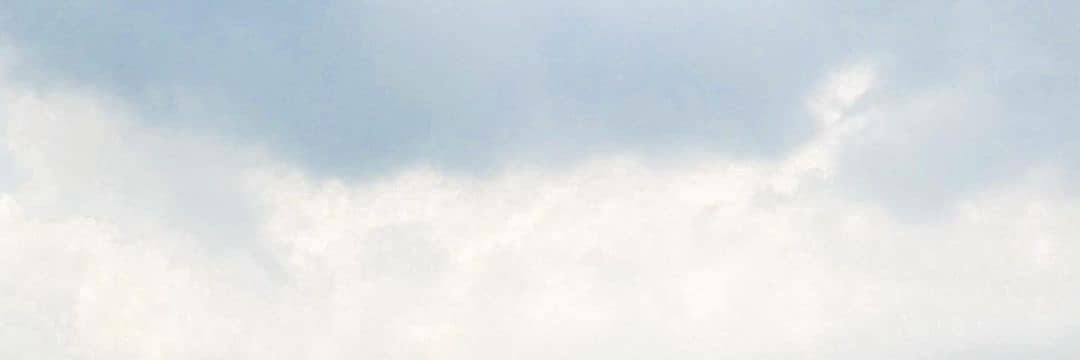 Schecteria's profile banner image
