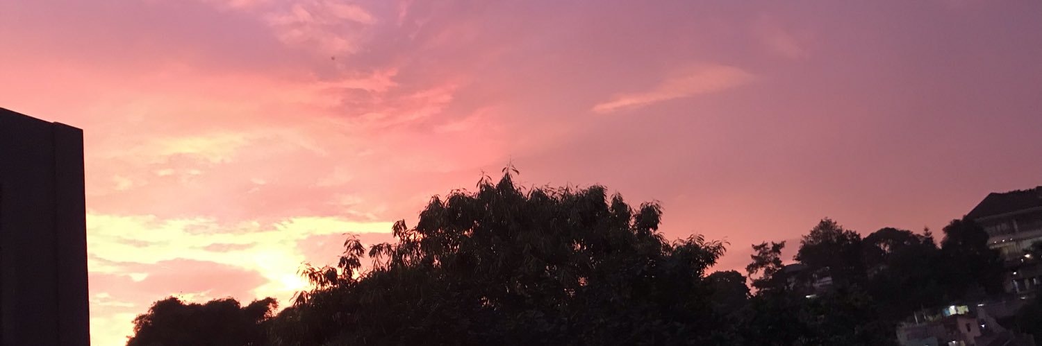 desinapouling's profile banner image