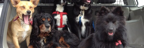 SharonShannon99 Profile Banner