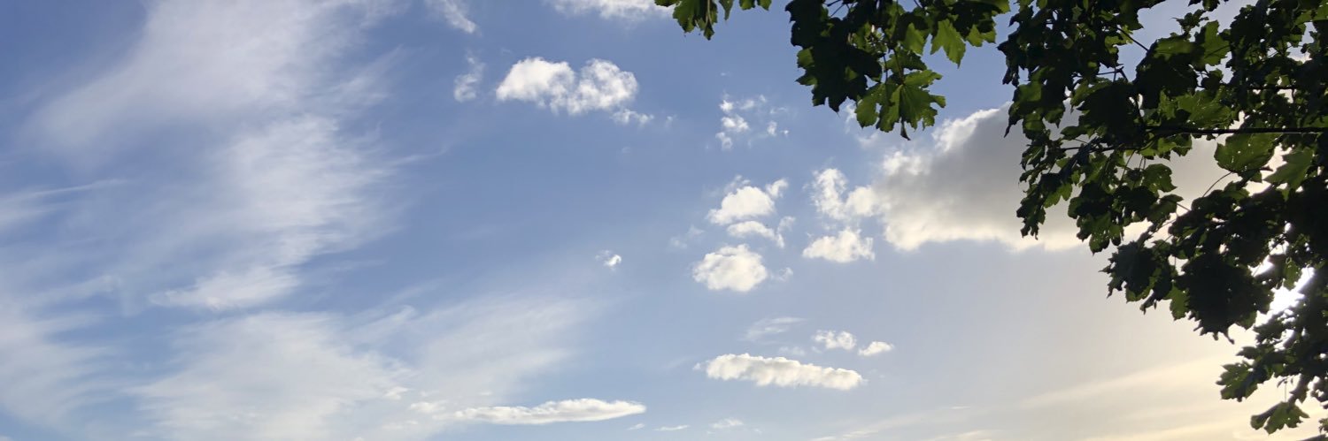 gracewilks's profile banner image