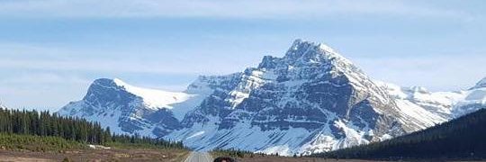 meecarey's profile banner image