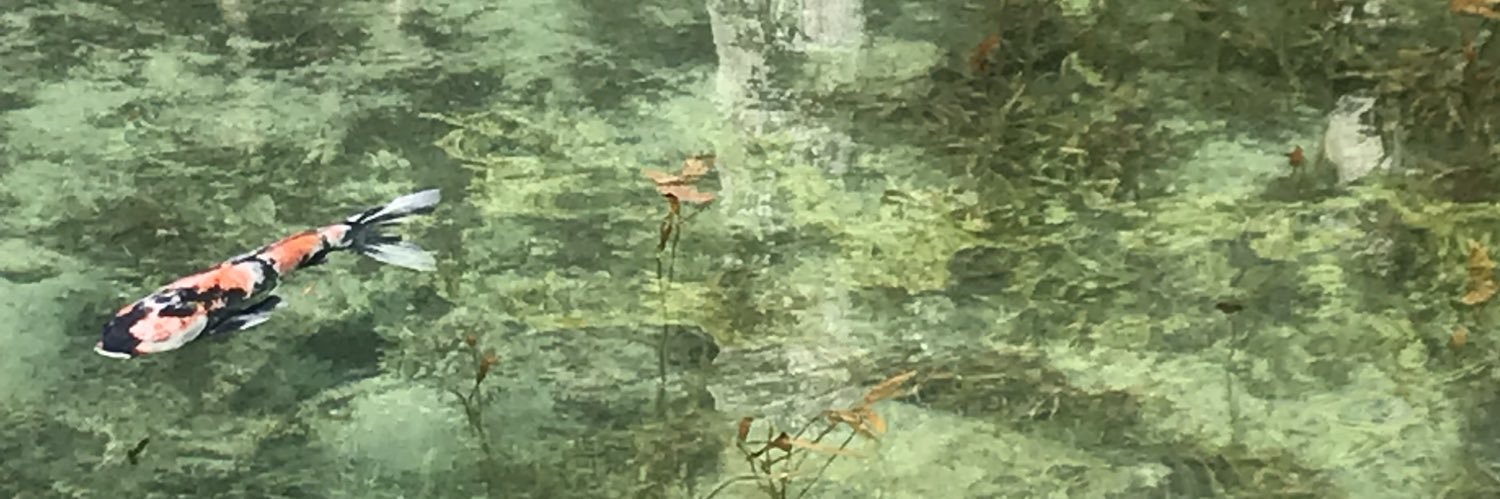 haitocw's profile banner image