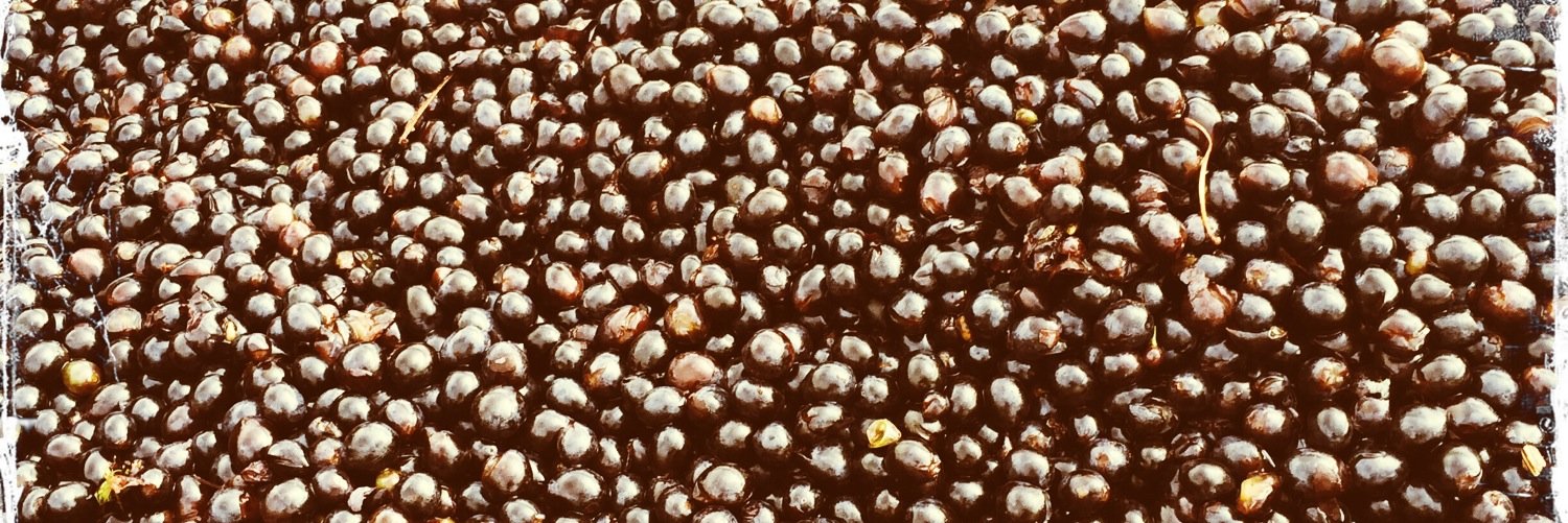 Ashleigh Seymour banner