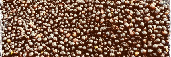 ashsey85 Profile Banner