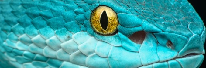 barbouse007's profile banner image