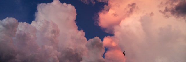 yaldahh's profile banner image