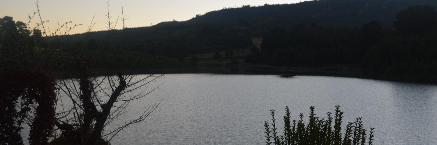 mthokozisi ndebele banner