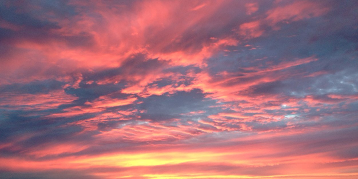 プロキオン banner