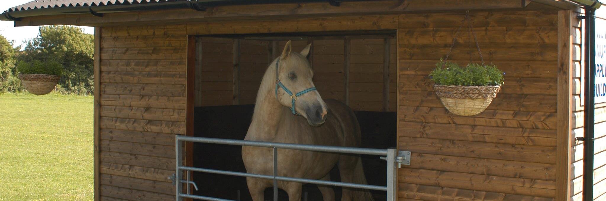 NFFEquestrian's profile banner image