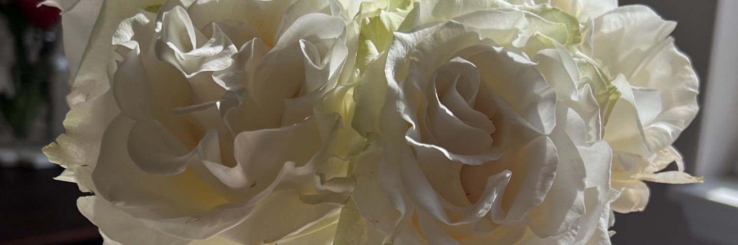 taylordoubleu93's profile banner image