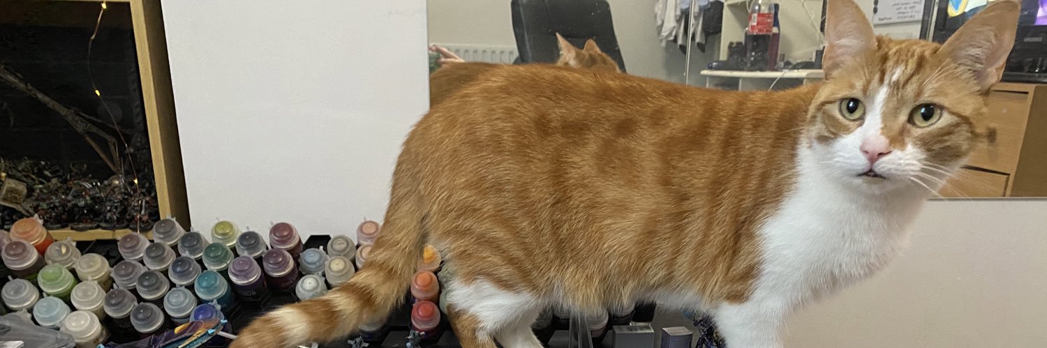 NewGame+ 🏳️‍⚧️ banner