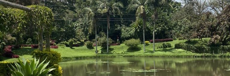 grslelimo's profile banner image
