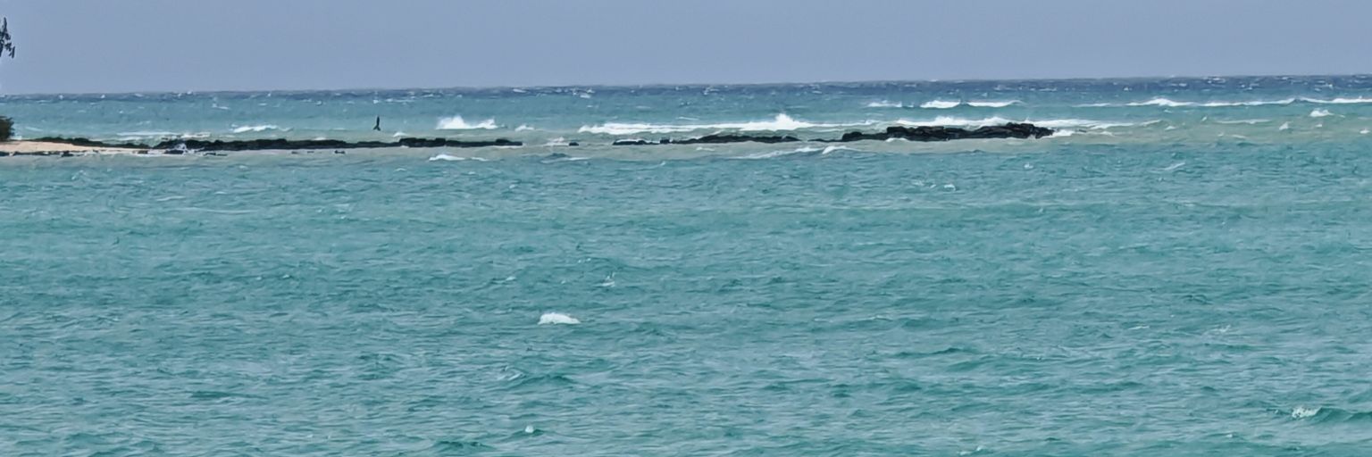 japancaruk's profile banner image