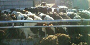 john_booladairy's profile banner image