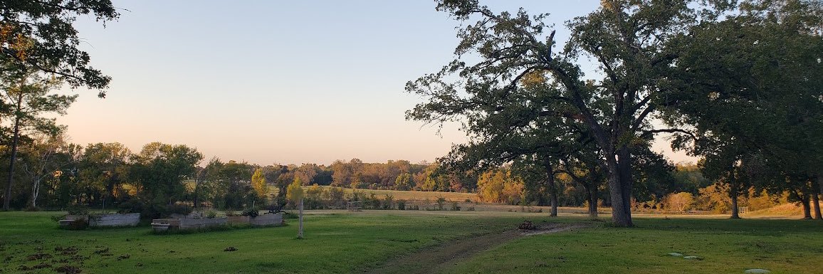 Bethany Scott banner