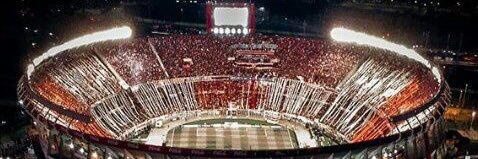 Chino 𓆰𓆪 banner