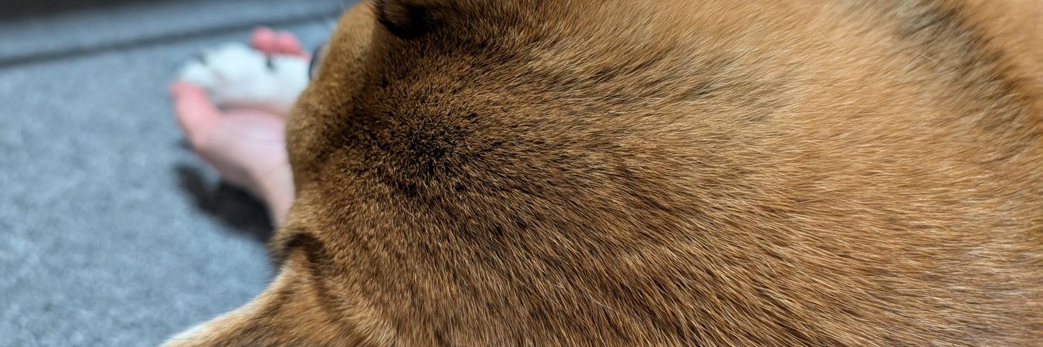 aqua_48g's profile banner image