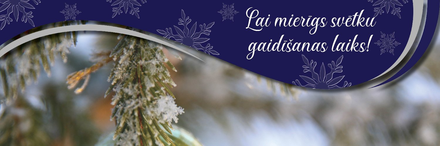 Baltinavas_N's profile banner image