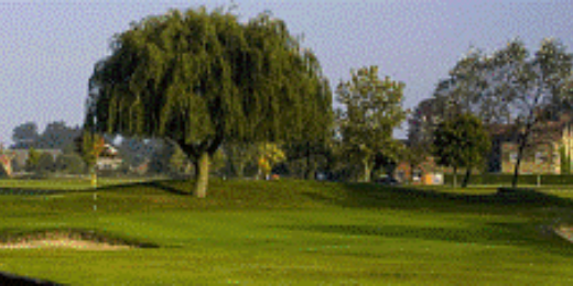 RochfordGC's profile banner image