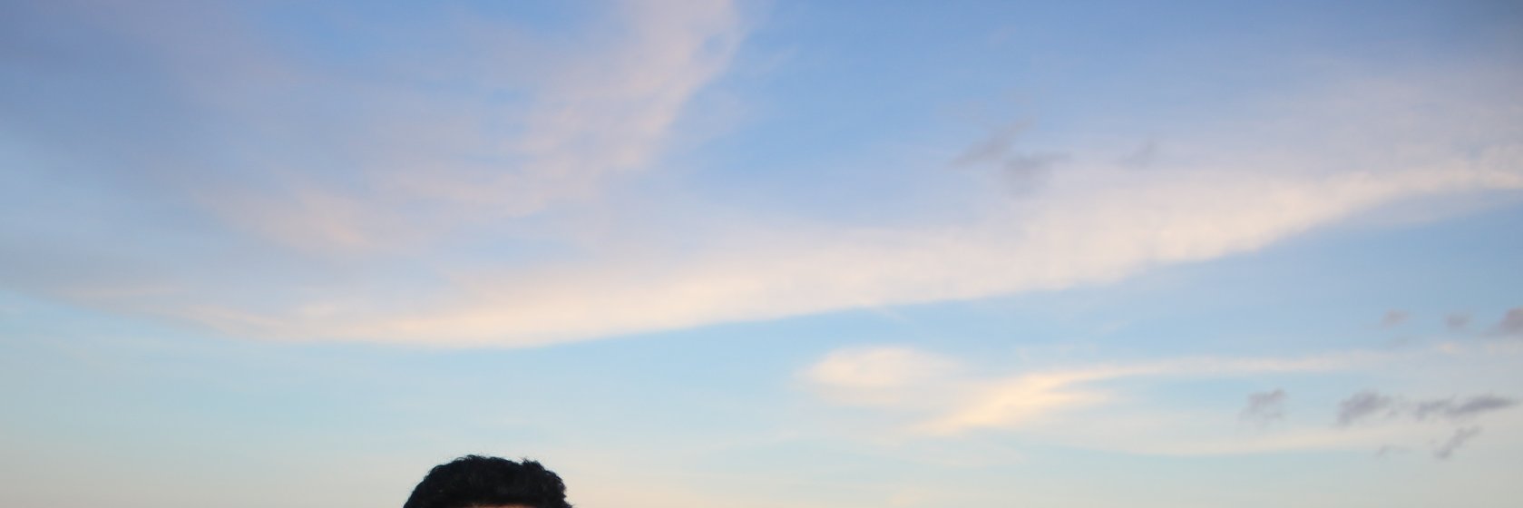 Elghivara's profile banner image