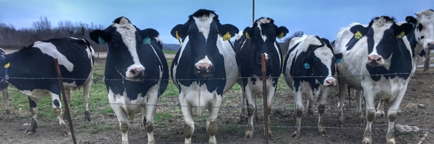 modfarmchick's profile banner image