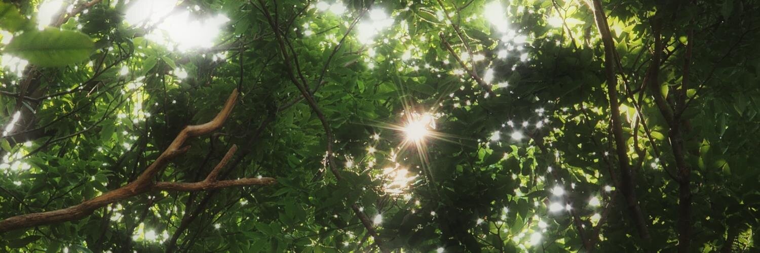 CLAIR_DE_LUNE0's profile banner image