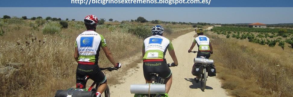 BicigrinExtrem's profile banner image