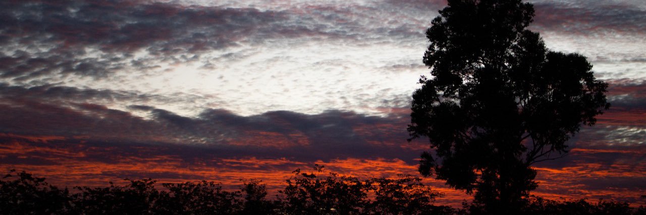 limão miliciano banner