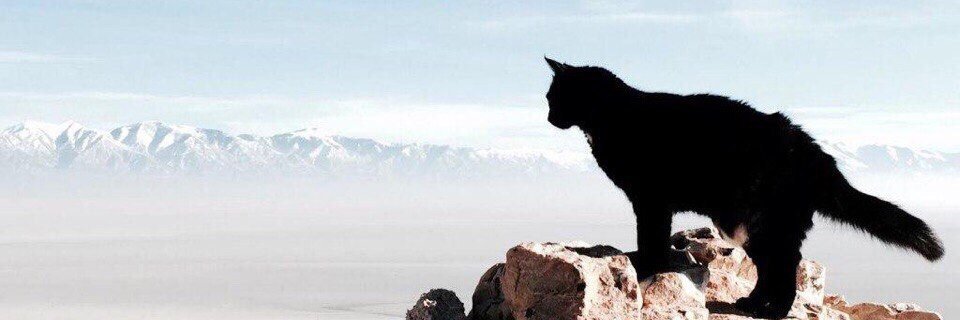 Insane_Misery's profile banner image