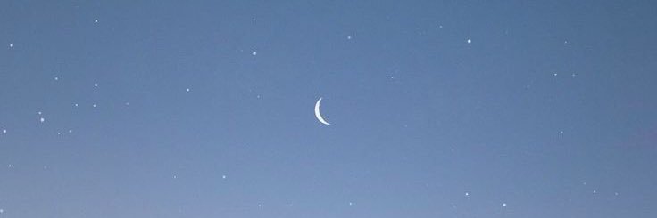 ✿ banner