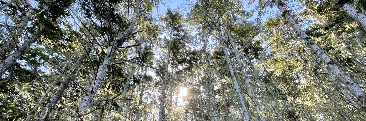 Niru Maheswaranathan banner