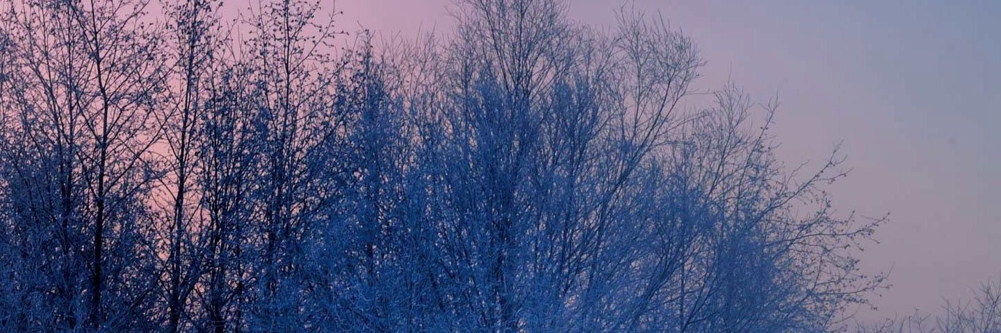 MAlllliiiii's profile banner image