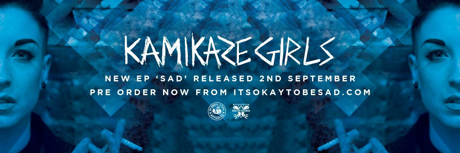 Bearded Punk Records banner