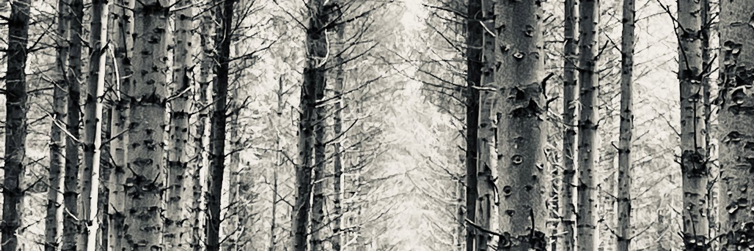 Sharon Fraser-Martin banner