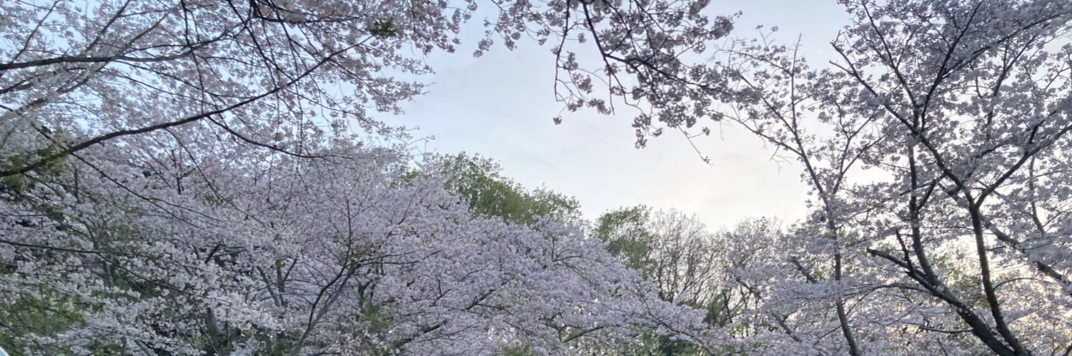 nacocan's profile banner image