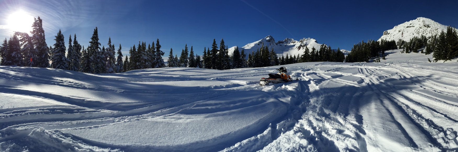 Wayne Shepherd banner