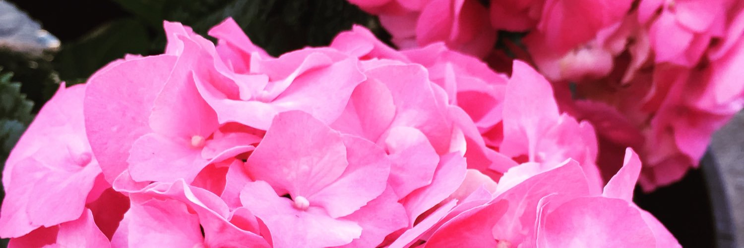 Producer_Paige's profile banner image