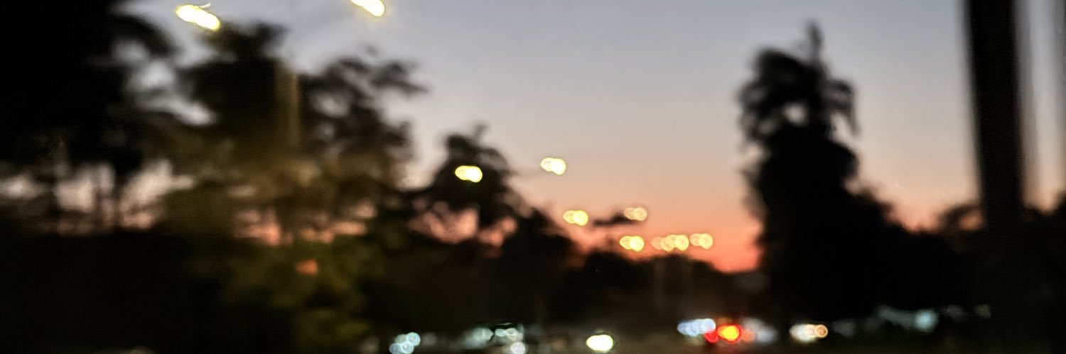 LiFelishit's profile banner image