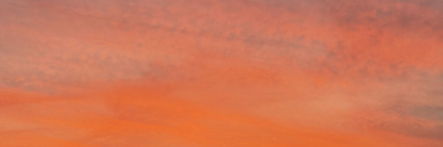 leerose__'s profile banner image
