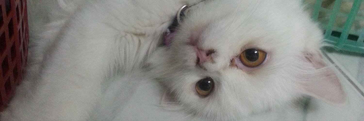 inkookiii's profile banner image